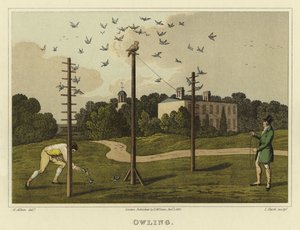 Owling by Henry Thomas Alken